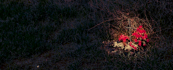 lo-fi photo of a grave on an abandoned mount of grass.